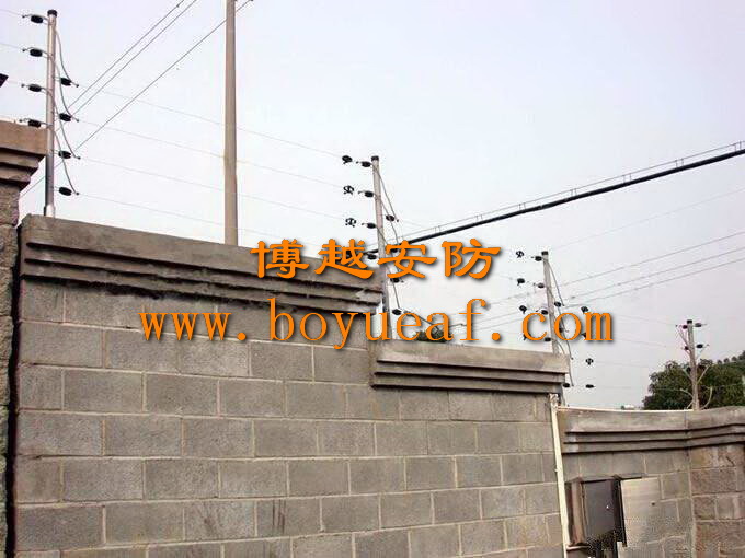 電(diàn)子(zǐ)圍欄系統 (2)
